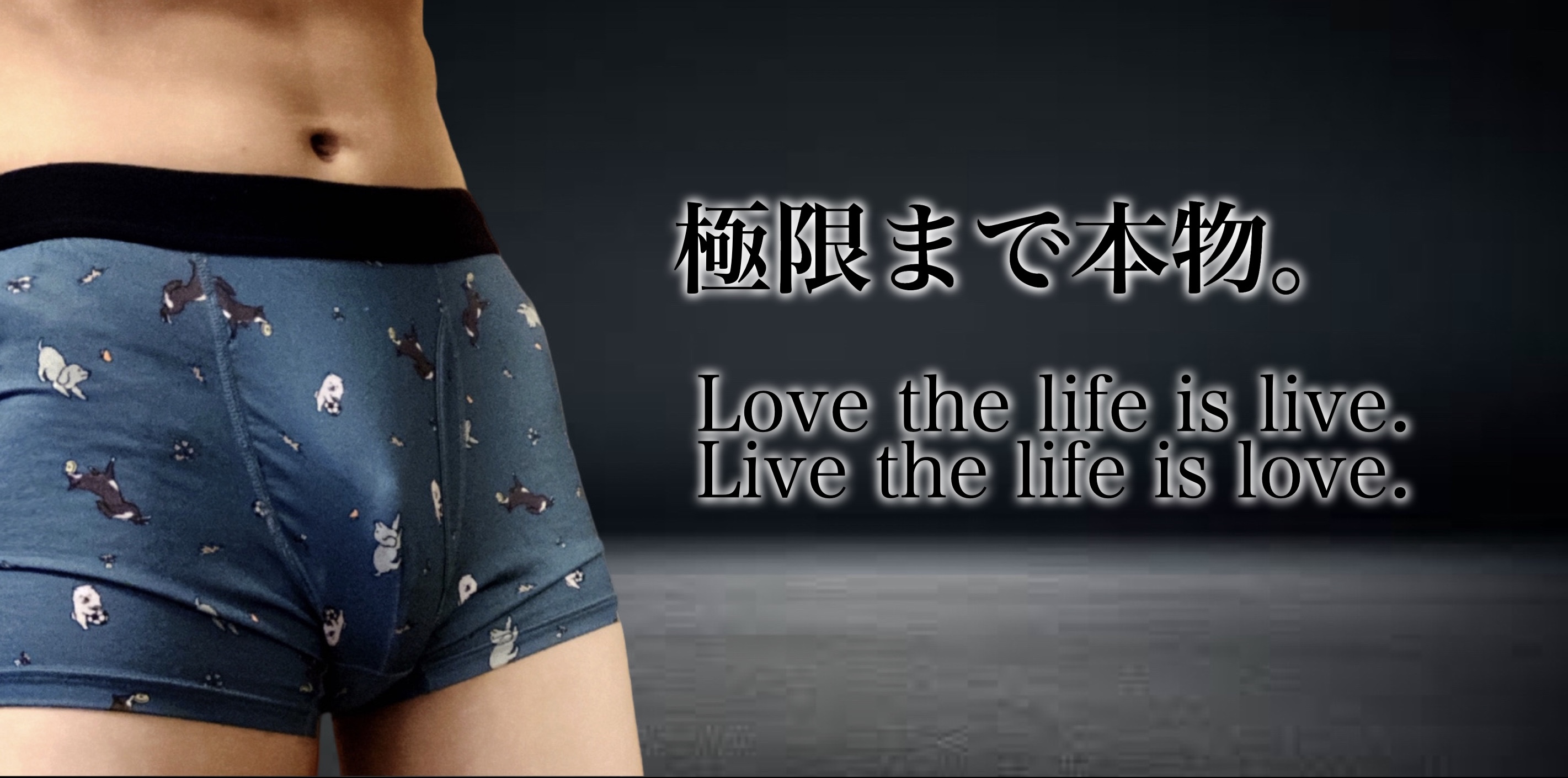 トップイメージ画像